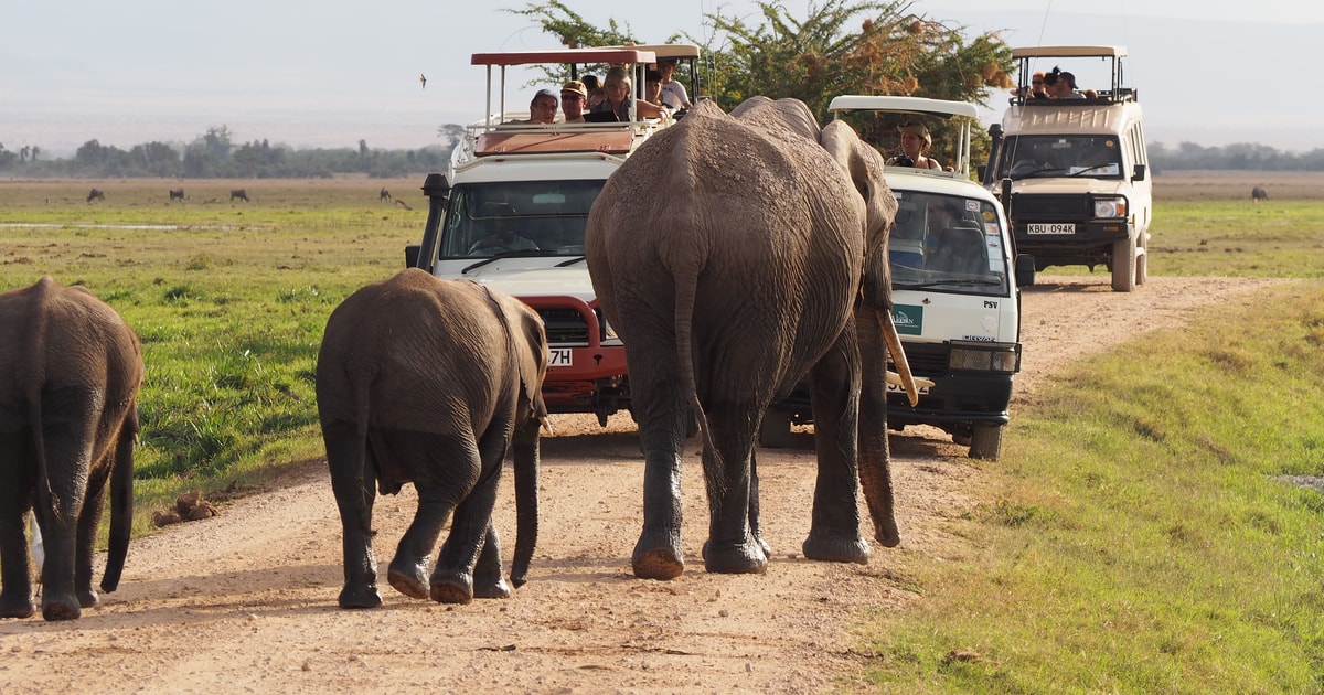 3-Day Amboseli Group Joining Safari