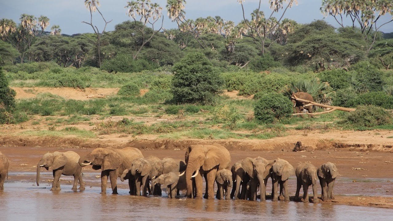 3 Days Samburu Safari