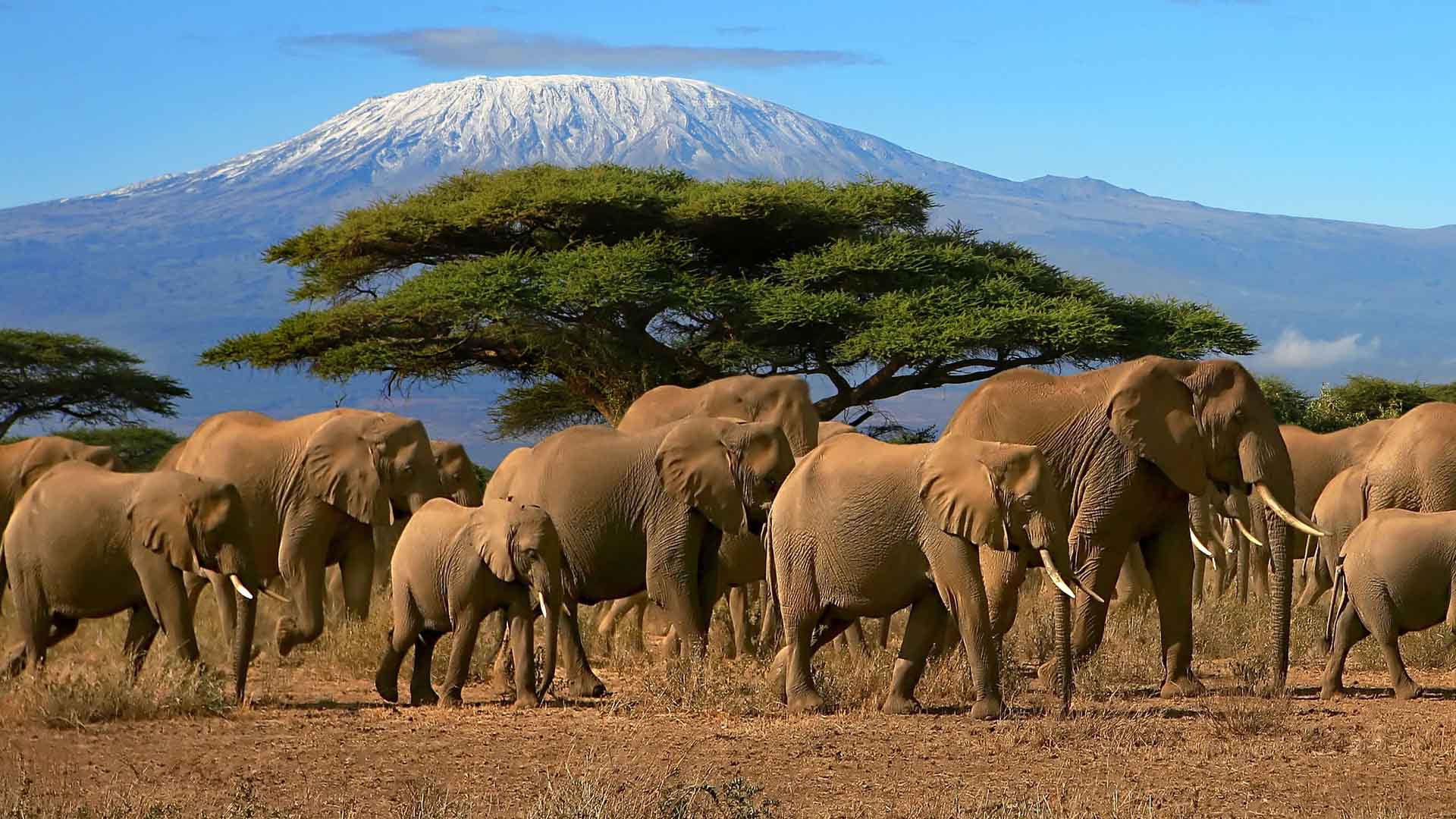 Amboseli National Park