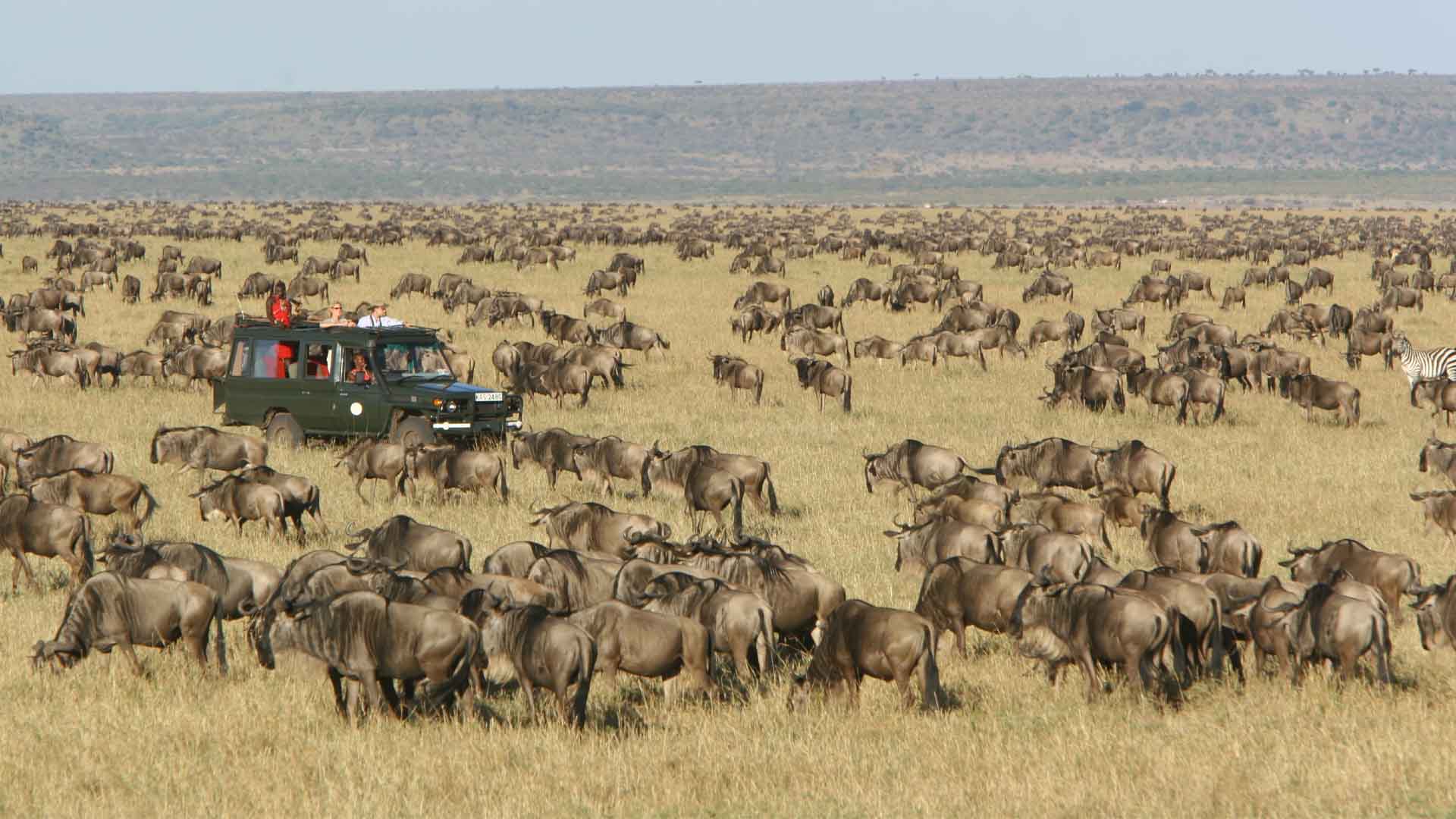 Maasai Mara National Reserve