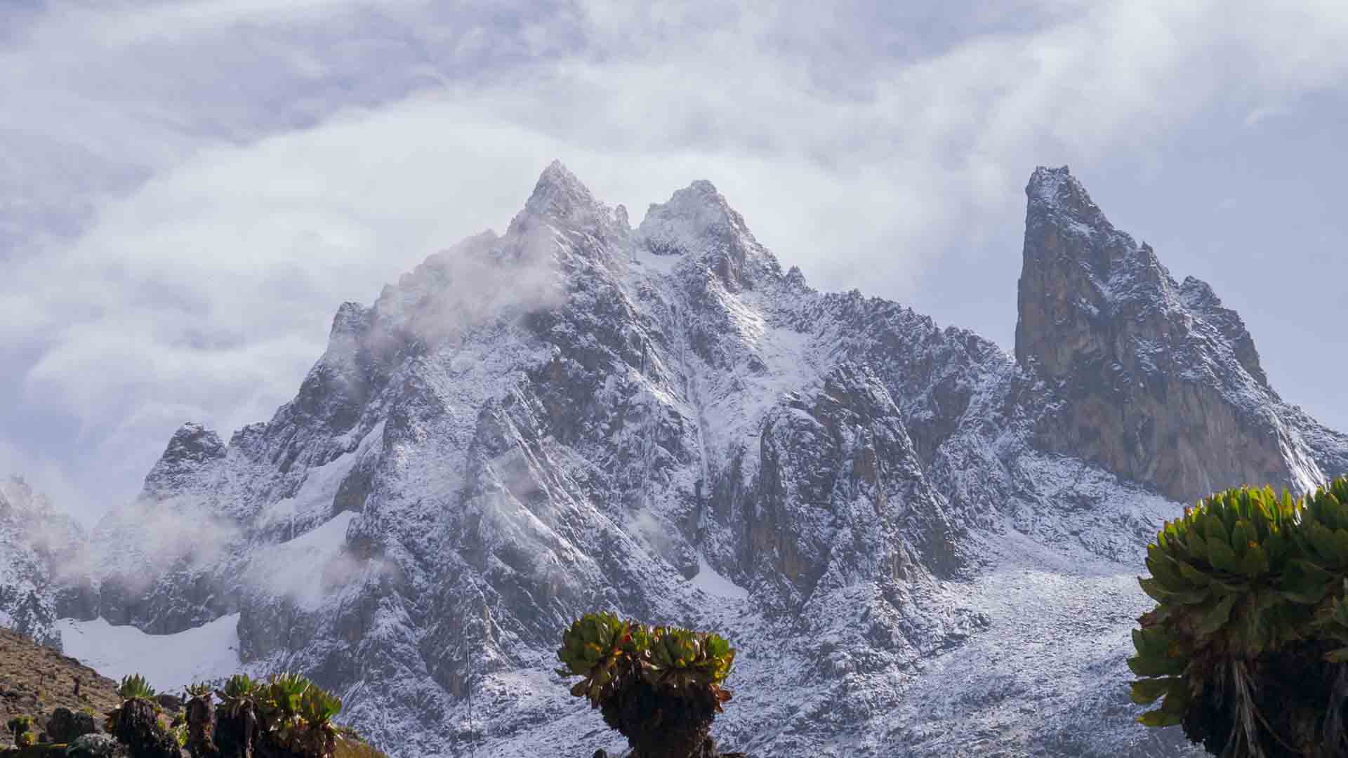Mount Kenya National Park