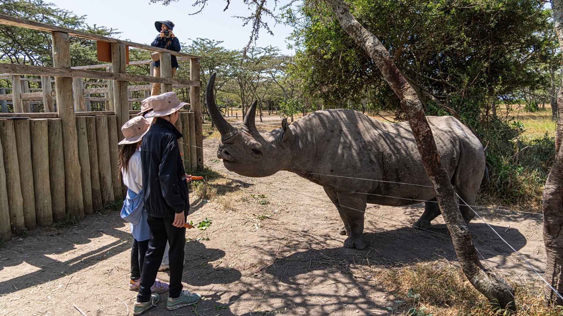 Ol Pejeta Conservancy