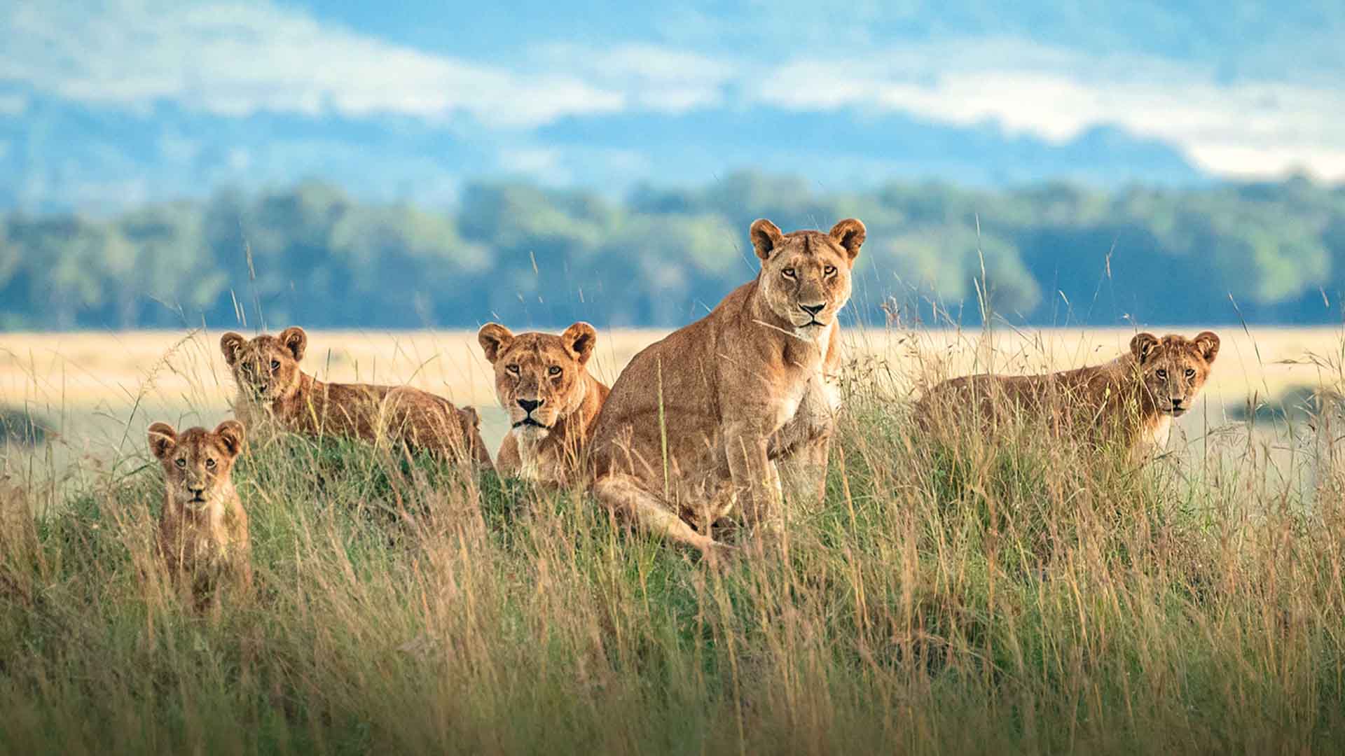 9 Days Masai Mara, Naivasha, Nakuru, Aberdare, Mount Kenya & Samburu Safari