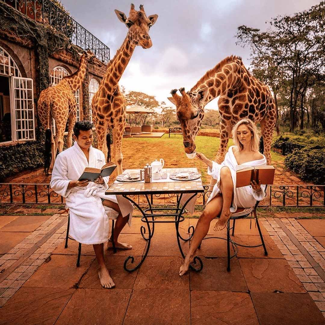 Luxury Safaris